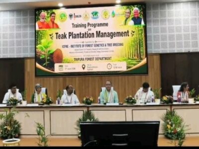 Tripura Bets on Scientific Teak Plantation to Boost Rural Economy