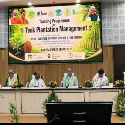 Tripura Bets on Scientific Teak Plantation to Boost Rural Economy