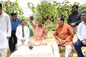 Tripura Agriculture Minister Ratan Lal Nath inspecting sweet grape cultivation project at Chandipur vineyard in Unakoti district