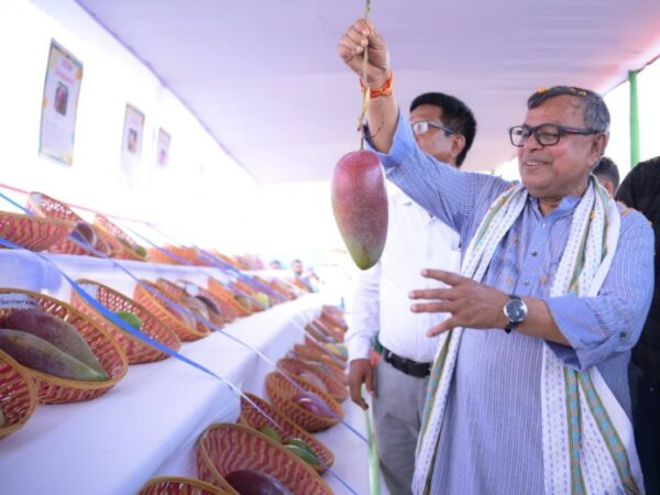Solar-Powered Cold Chamber Boost for Gandatwisa Mango Growers