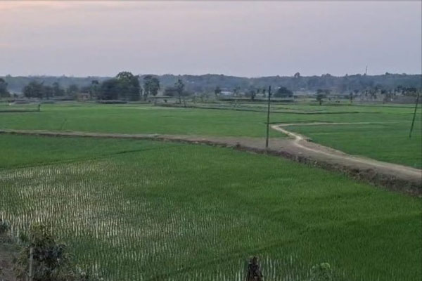 Tripura Bangladesh Border Durga Puja