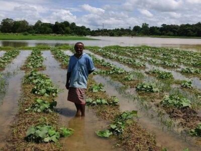 Heavy Rain Triggers Flooding and Crop Damage in Parts of Tripura