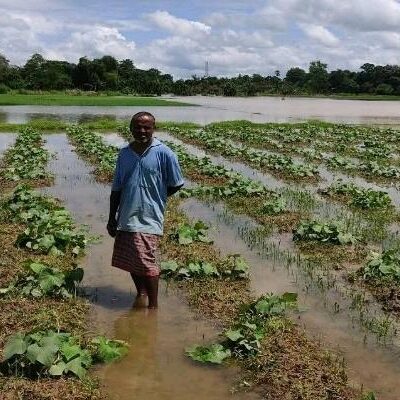 Heavy Rain Triggers Flooding and Crop Damage in Parts of Tripura