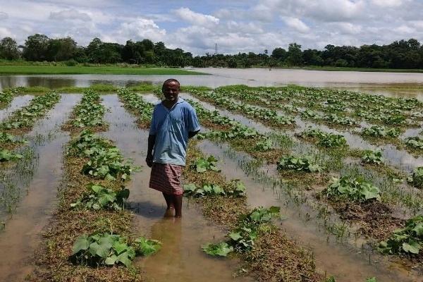 Rains Tripura flood & crop damage