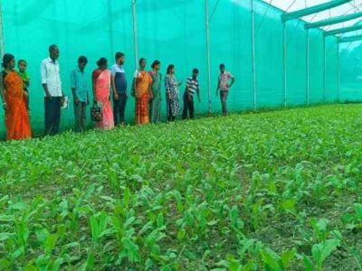 Tripura Targets 3.50 Lakh Lakhpati Didis With Rural Women Livelihood Push