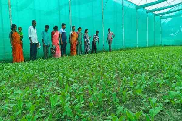 Tripura Target Lakhpati Didis