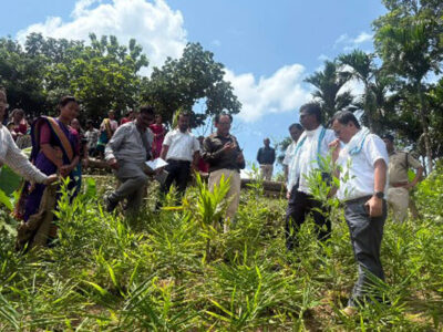 Fish Farming and Ginger Cultivation Drive Income Growth Under TRESP in Rural Tripura