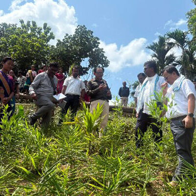 Fish Farming and Ginger Cultivation Drive Income Growth Under TRESP in Rural Tripura
