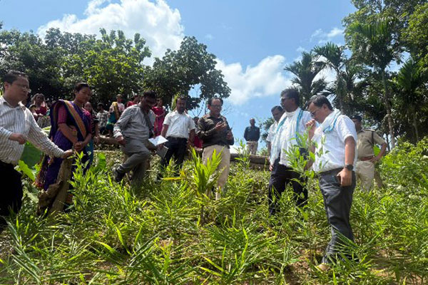 TRESP Tribal Income